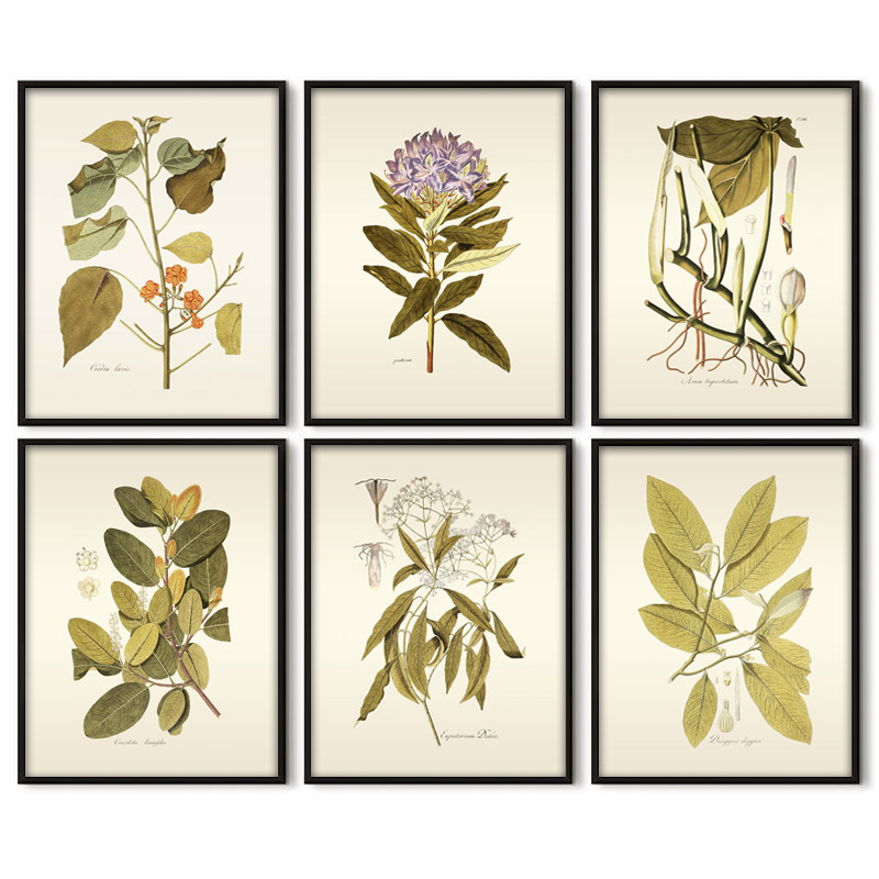 Herbaceous Plant Wall Art Pain - Office Furniture York avaliação e preço