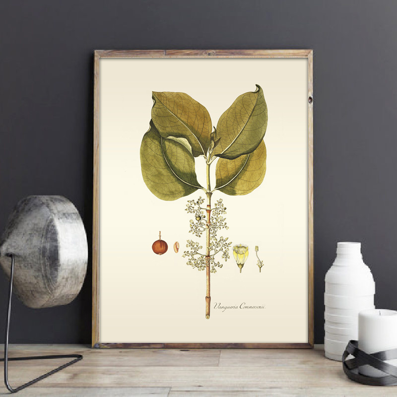 Herbaceous Plant Wall Art Pain - Office Furniture York avaliação e preço