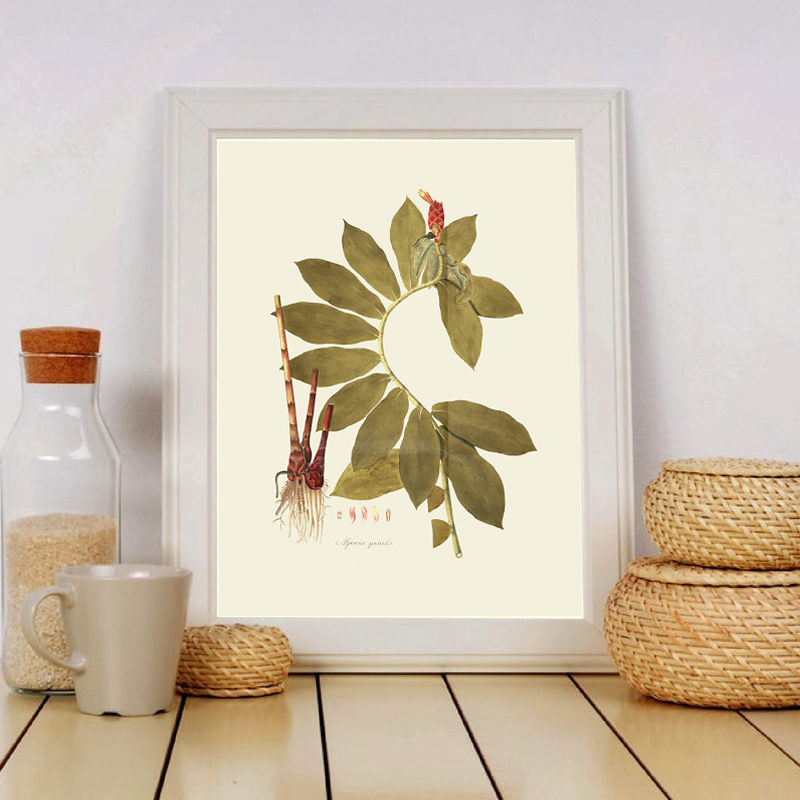Herbaceous Plant Wall Art Pain - Office Furniture York avaliação e preço