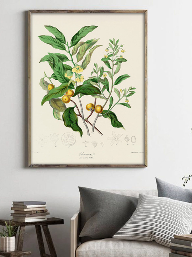 Herbaceous Plant Wall Art Pain - Office Furniture York avaliação e preço